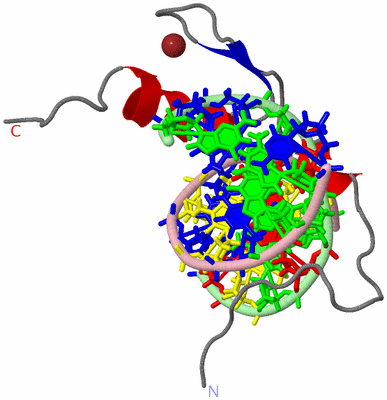 Image NMR Structure - model 1