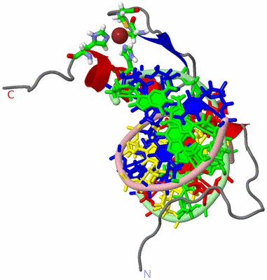 Image NMR Structure - model 1, sites