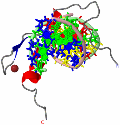 Image NMR Structure - model 1