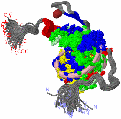 Image NMR Structure - all models