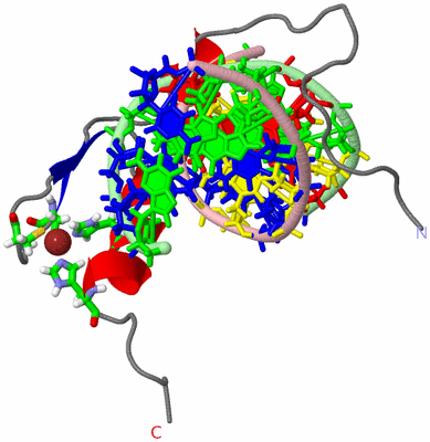 Image NMR Structure - model 1, sites