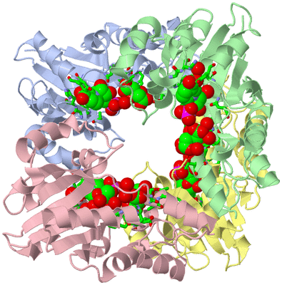 Image Asym./Biol. Unit - sites