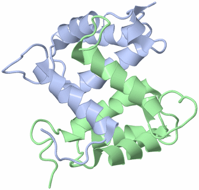 Image NMR Structure - model 1