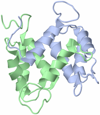 Image NMR Structure - model 1