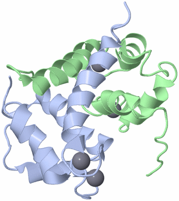 Image NMR Structure - model 1