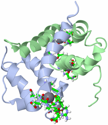 Image NMR Structure - model 1, sites