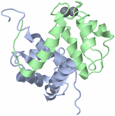 Image NMR Structure - model 1