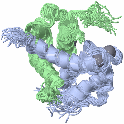 Image NMR Structure - all models