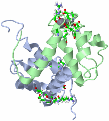 Image NMR Structure - model 1, sites