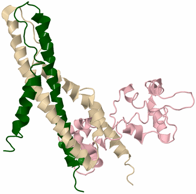 Image Biological Unit 1