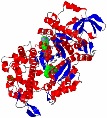 Image Asym./Biol. Unit