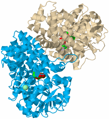 Image Biological Unit 1