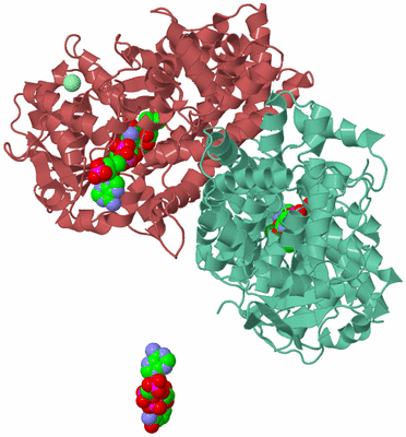 Image Biological Unit 2