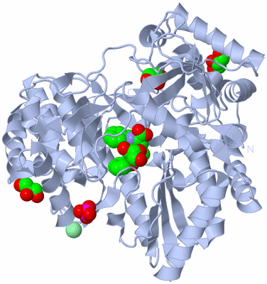 Image Biological Unit 1