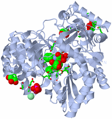 Image Biol. Unit 1 - sites