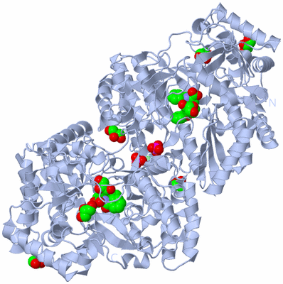 Image Biological Unit 2