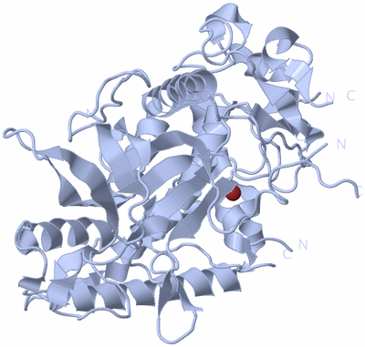 Image Biological Unit 2