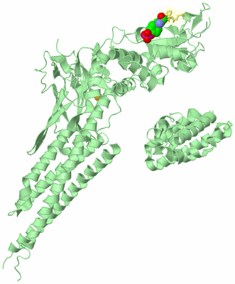 Image Biological Unit 2