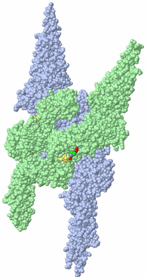 Image Biological Unit 3