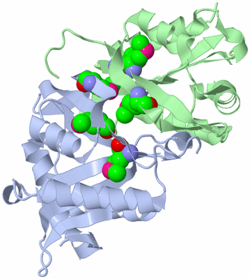 Image Asym./Biol. Unit