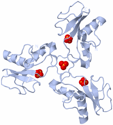 Image Biological Unit 1