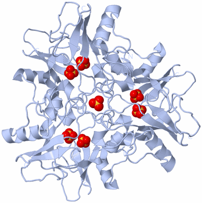 Image Biological Unit 2