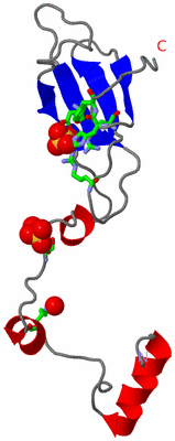 Image Asym. Unit - sites