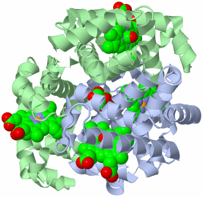 Image Biological Unit 1