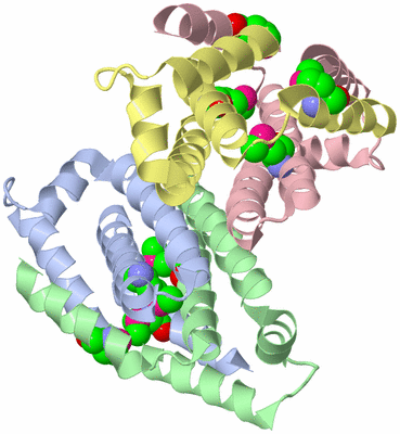 Image Asym./Biol. Unit