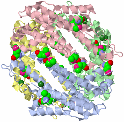 Image Asym./Biol. Unit