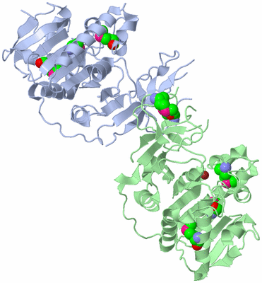 Image Asym./Biol. Unit