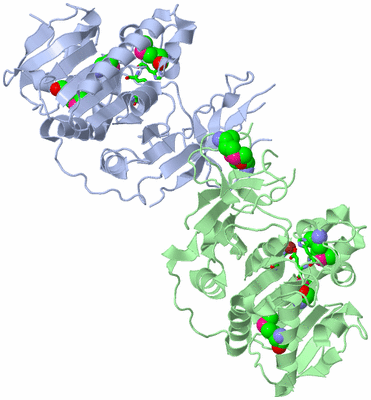 Image Asym./Biol. Unit - sites