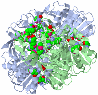 Image Biological Unit 2