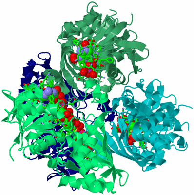 Image Asym./Biol. Unit - sites