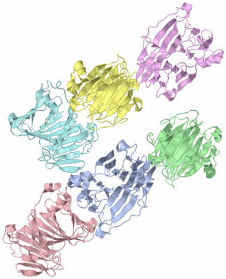 Image Asymmetric Unit