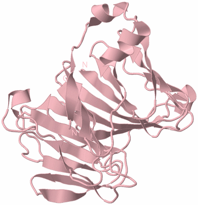 Image Biological Unit 3