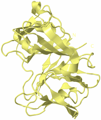 Image Biological Unit 4