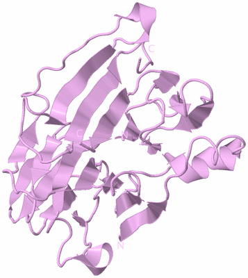 Image Biological Unit 5