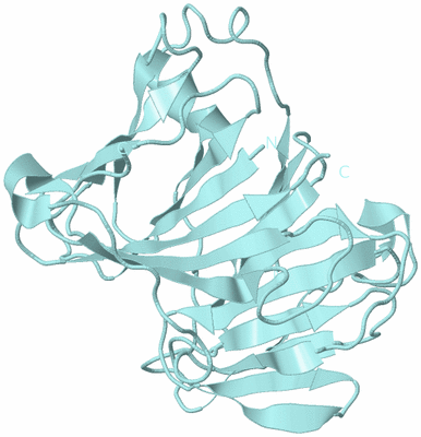 Image Biological Unit 6