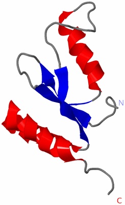 Image NMR Structure - model 1