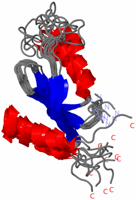 Image NMR Structure - all models