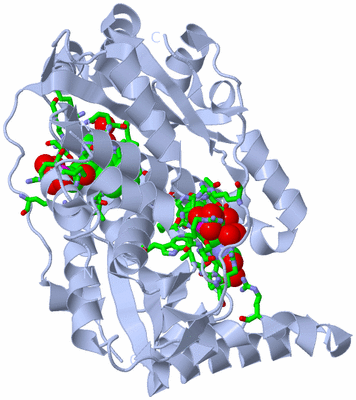 Image Biol. Unit 1 - sites