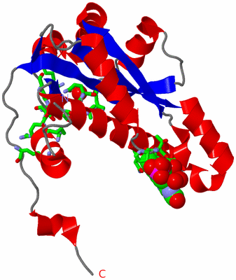 Image Asym. Unit - sites