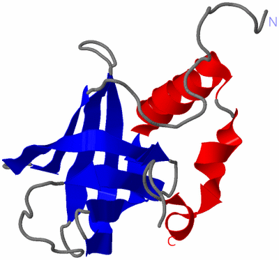 Image NMR Structure - model 1