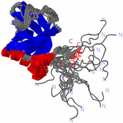 Image NMR Structure - all models