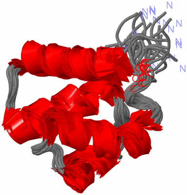 Image NMR Structure - all models