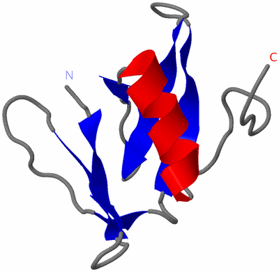 Image NMR Structure - model 1
