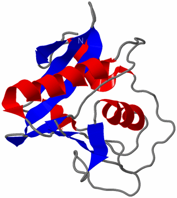 Image NMR Structure - model 1