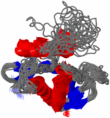 Image NMR Structure - all models