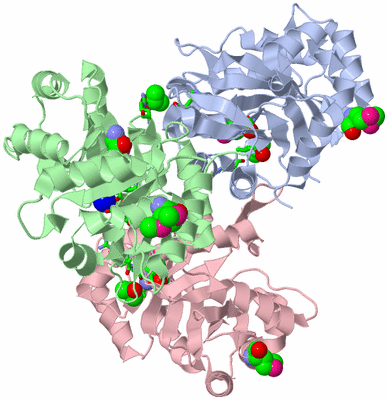 Image Asym./Biol. Unit - sites